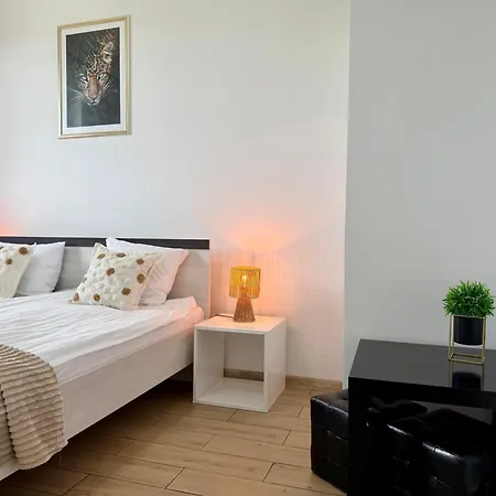 The Palm 35 By Housine *